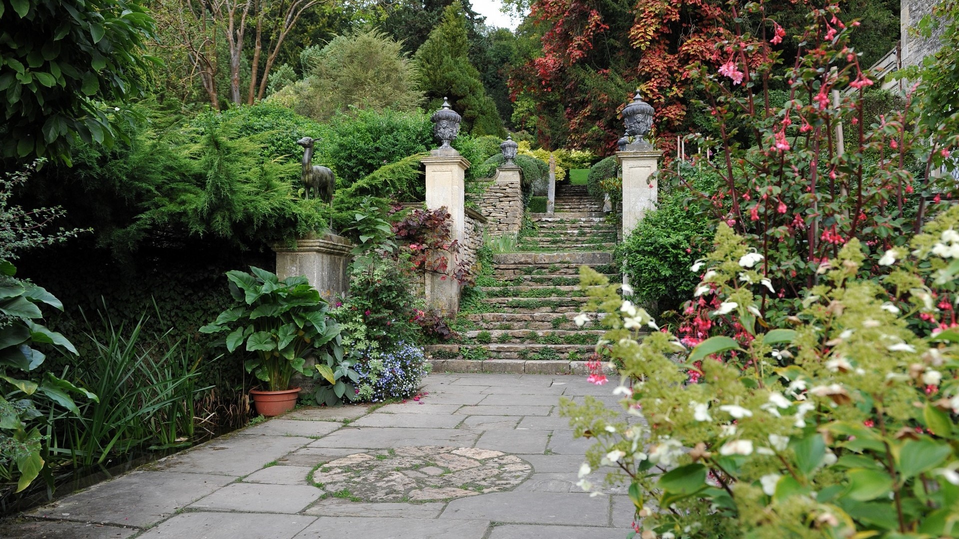 Picture of old stone stairs in a garden with trees and flowers on the sides