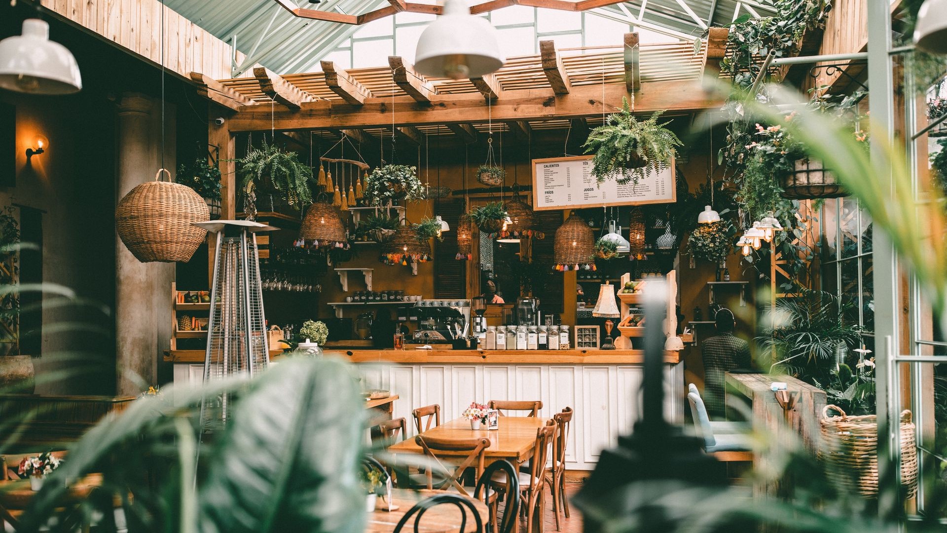 Picture from inside the café with tables and chairs in the middle, plants and ornaments on the sides
                            and the bar in the background