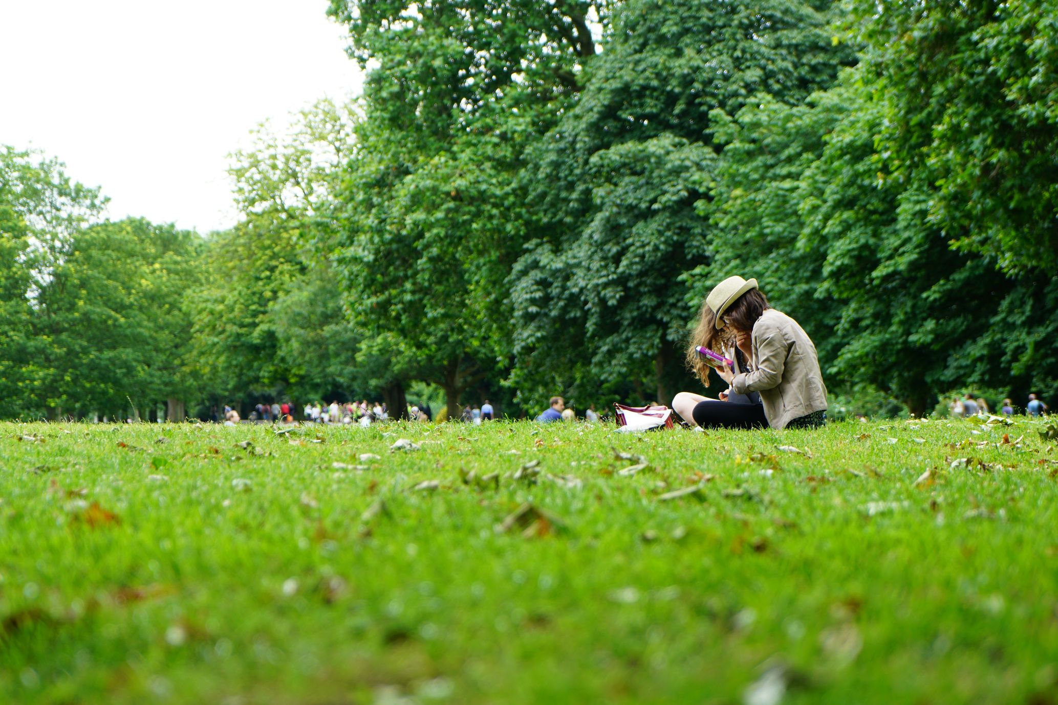 Image with people sitting on grass in the park with trees and other people in the background