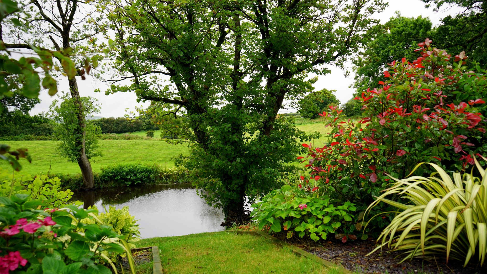 Picture of the garden with trees, flowers and a small river in the foreground and a meadow in the background