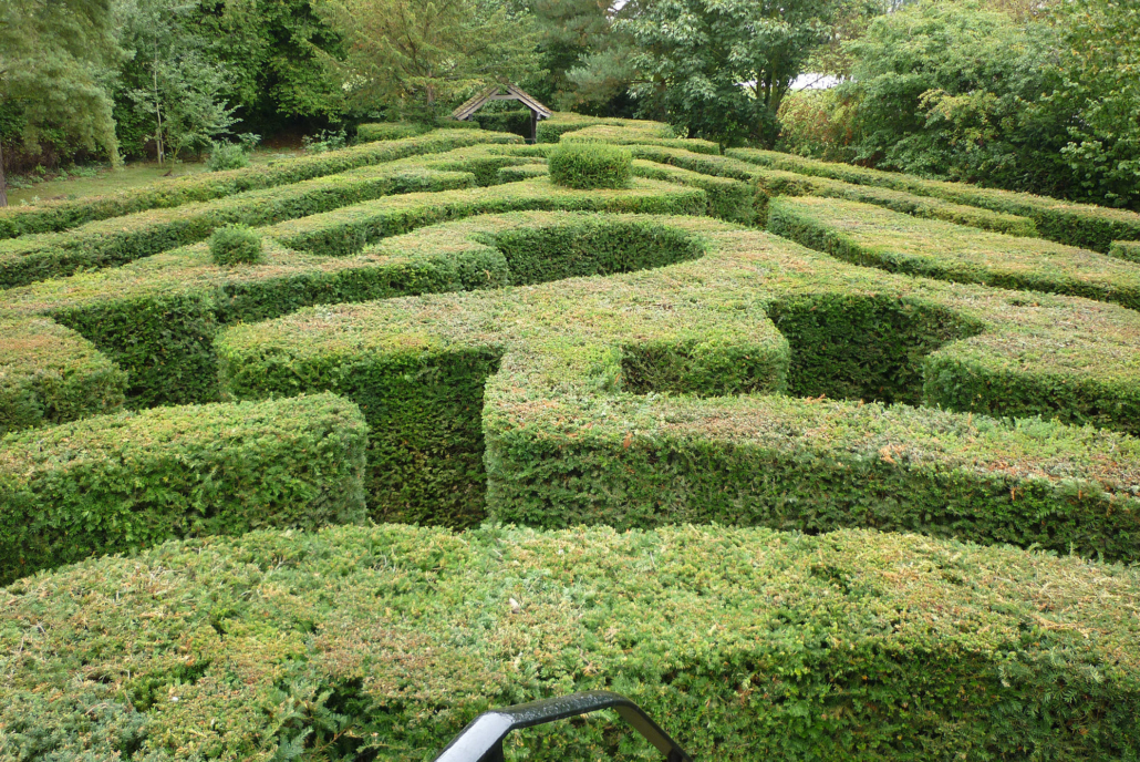 Image of the maze garden with trees on the background