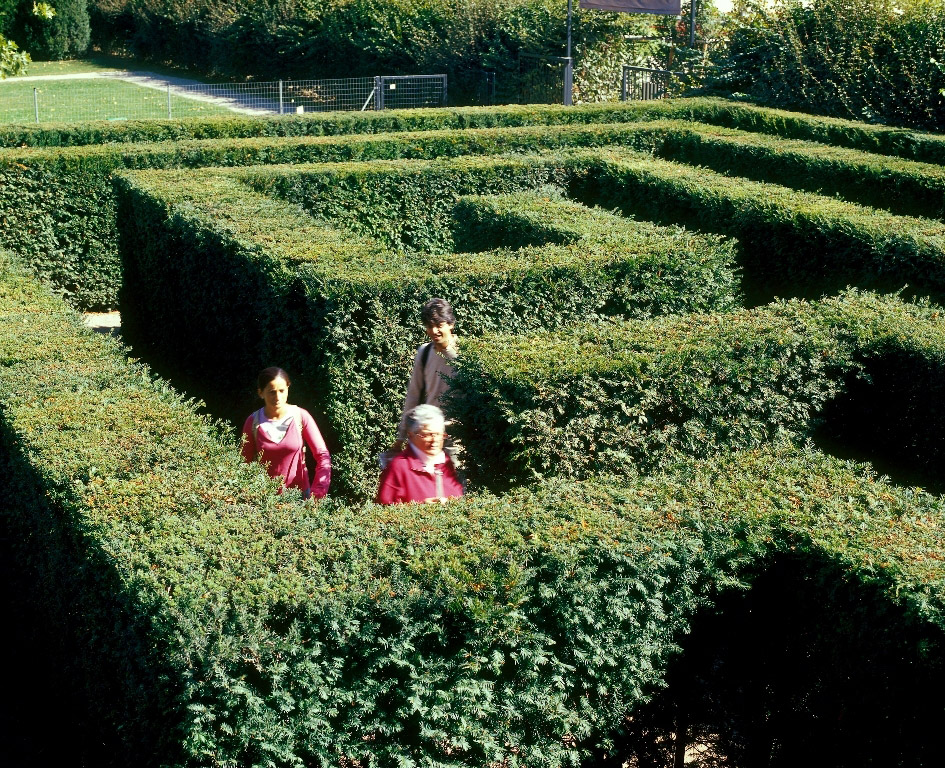 Picture of 3 people walking in the maze in a sunny day