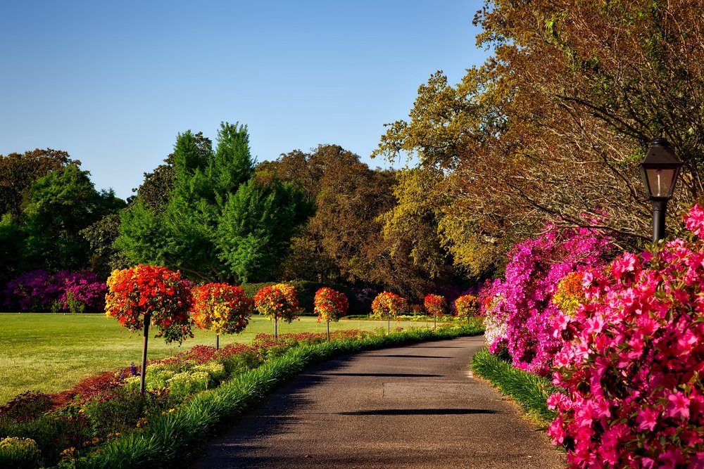 Picture of the gardens showing a pathway with trees and flowers on the sides